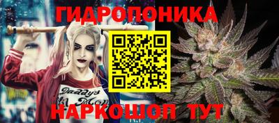 мяу мяу мука Баксан