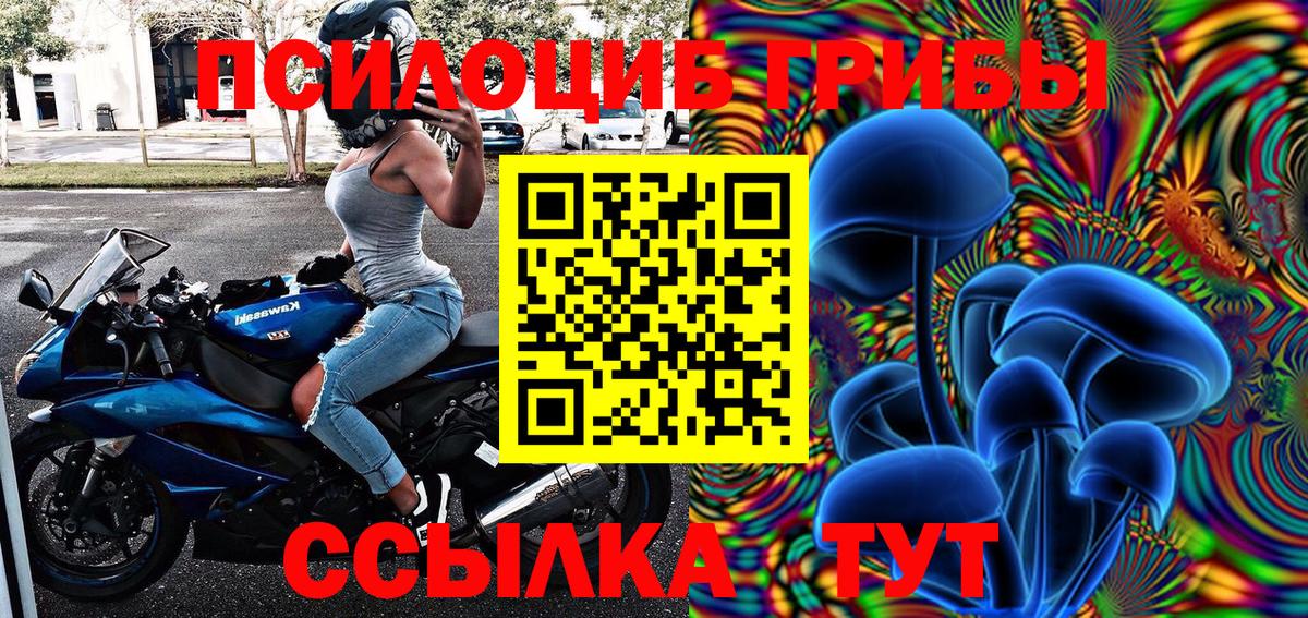 Галлюциногенные грибы Psilocybe Тихвин