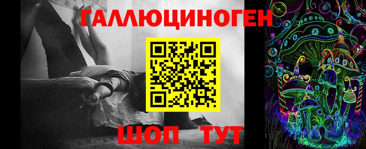 хочу наркоту  Псилоцибиновые грибы Psilocybe  Псилоцибиновые грибы Psilocybe  Вход с VPN  Тихвин 